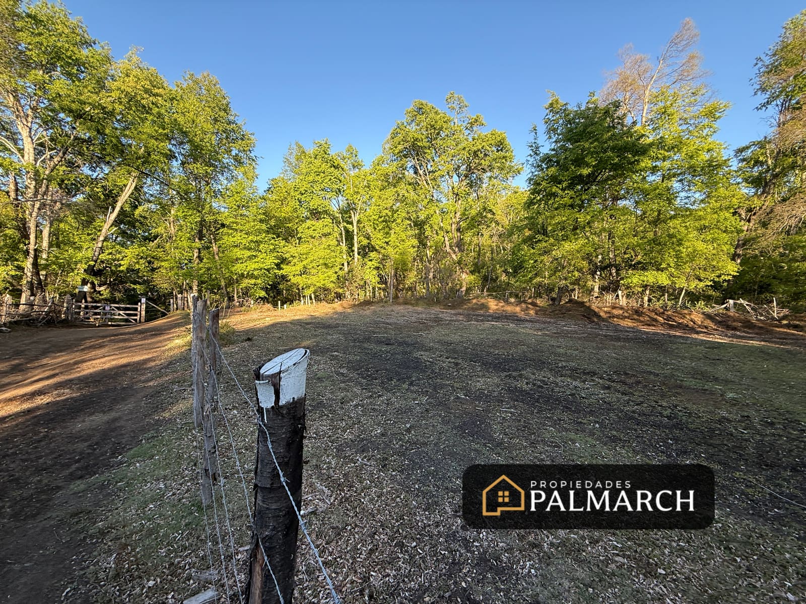Parcela en venta en Pinto — foto 4