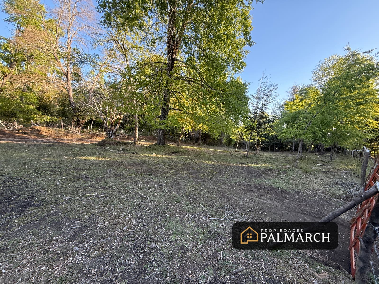 Parcela en venta en Pinto — foto 6
