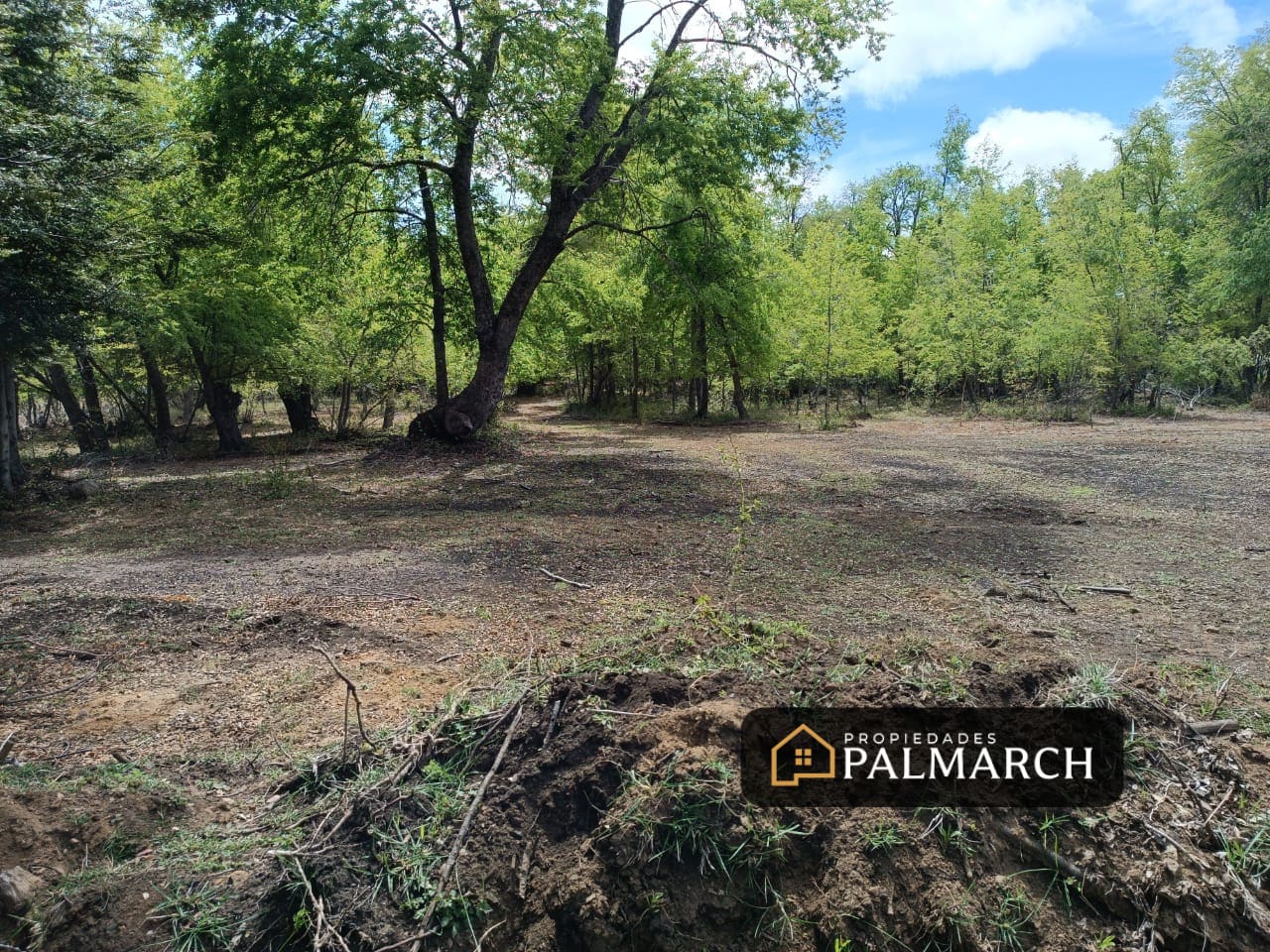 Parcela en venta en Pinto — foto 7