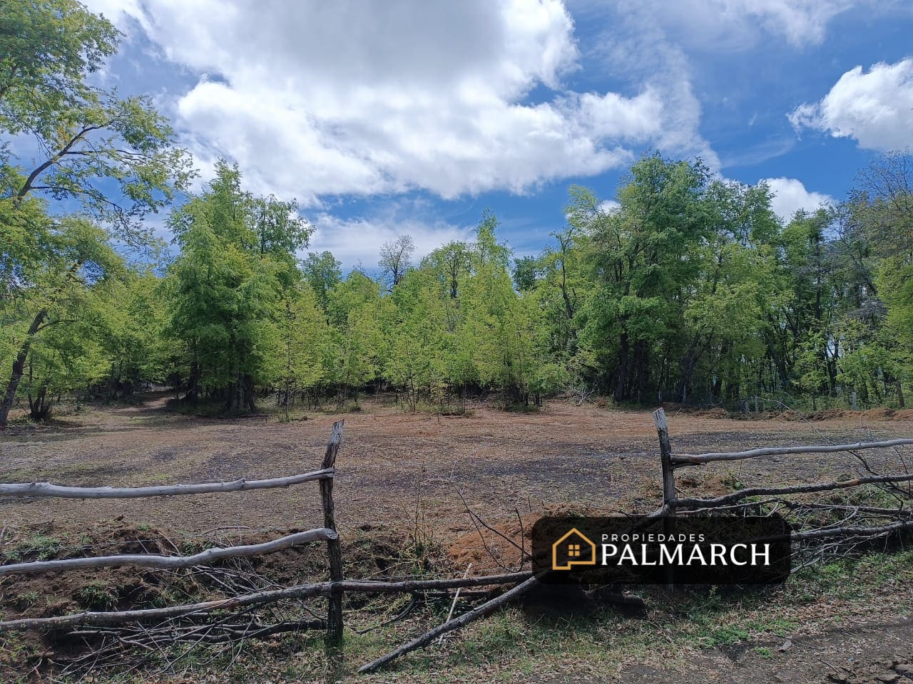 Parcela en venta en Pinto — foto 9