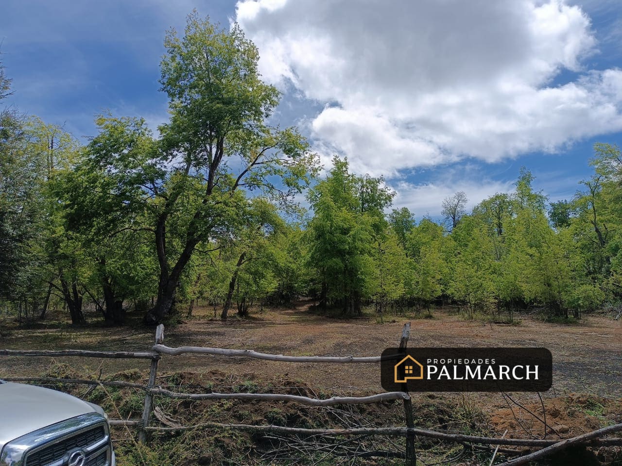 Parcela en venta en Pinto — foto 10