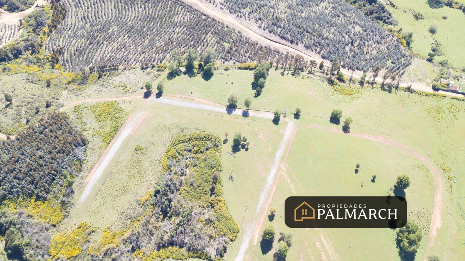 Parcela en venta en Penco — foto 2