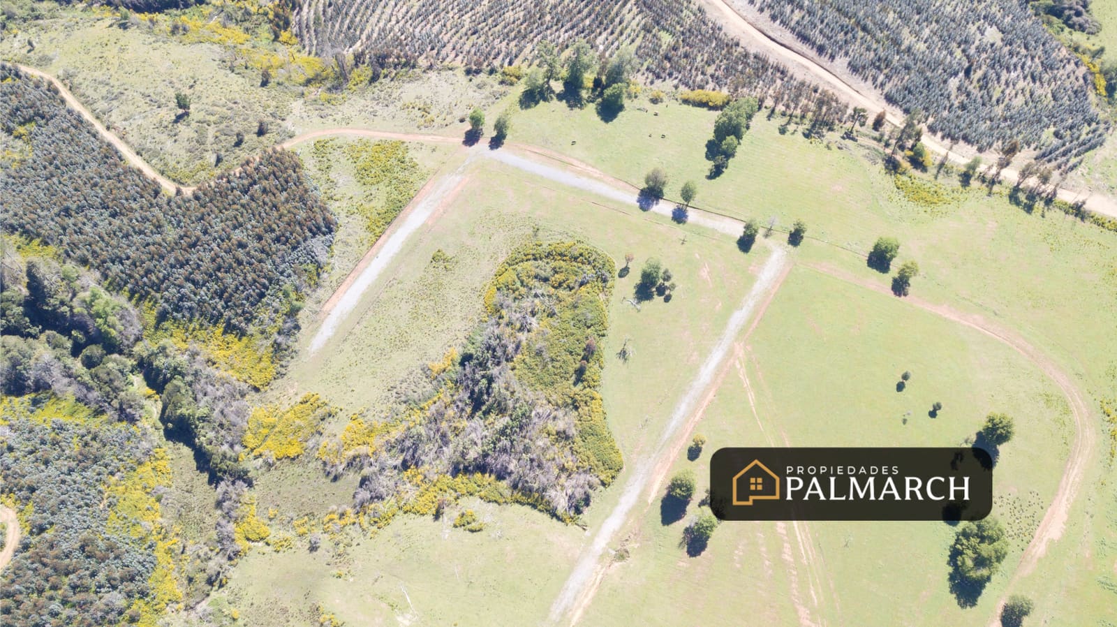 Parcela en venta en Penco — foto 3