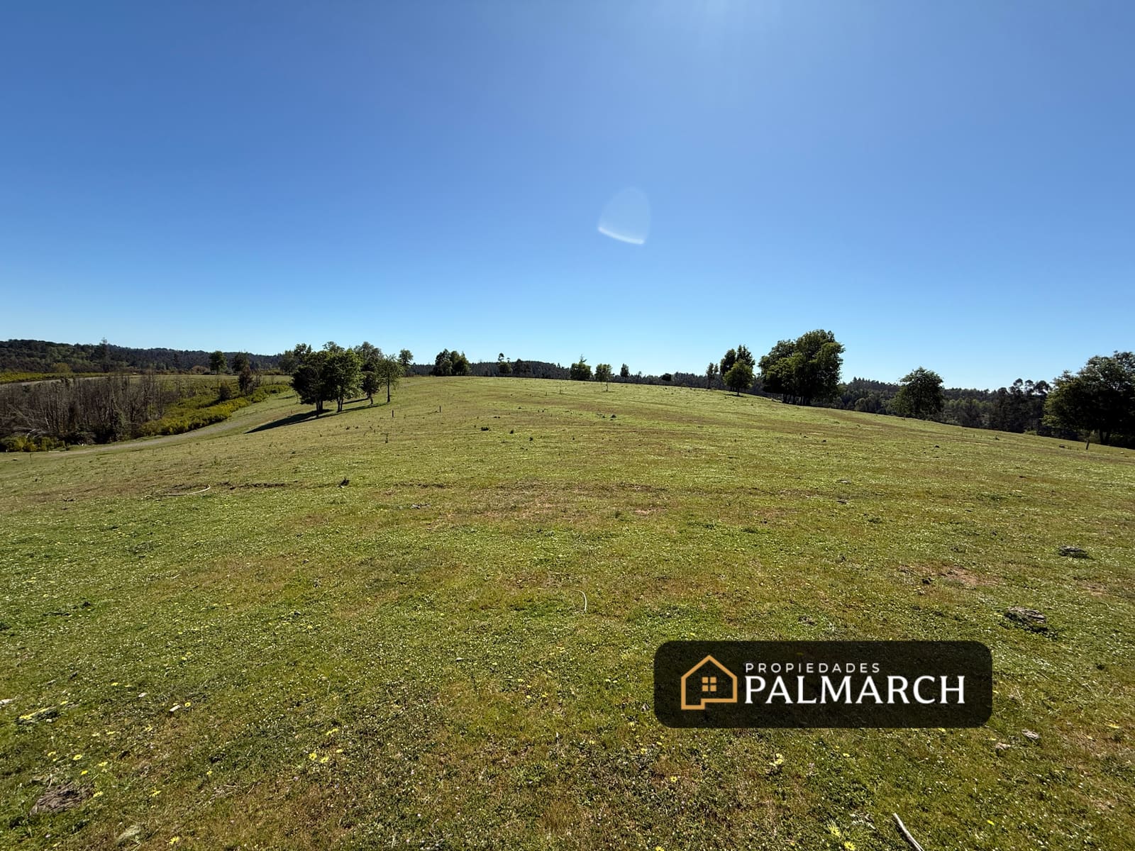 Parcela en venta en Penco — foto 6