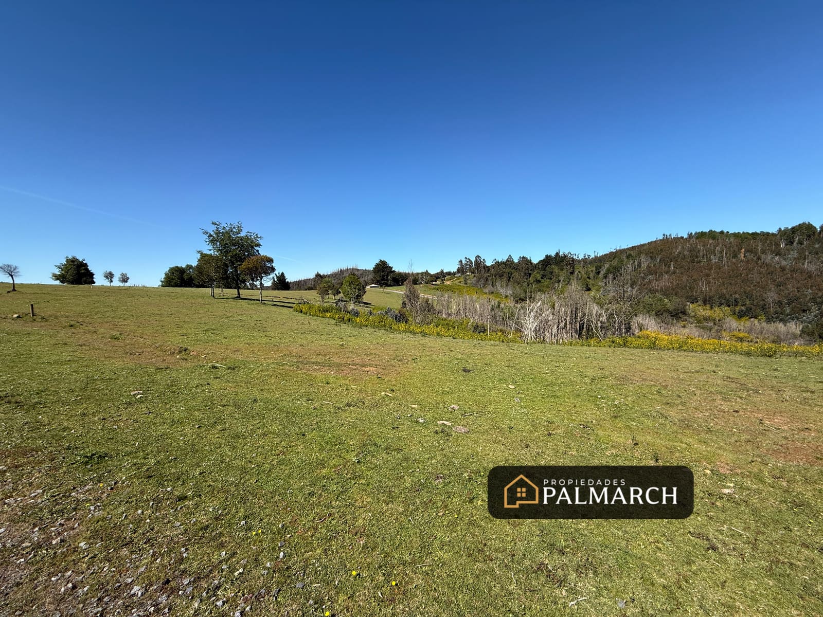 Parcela en venta en Penco — foto 7