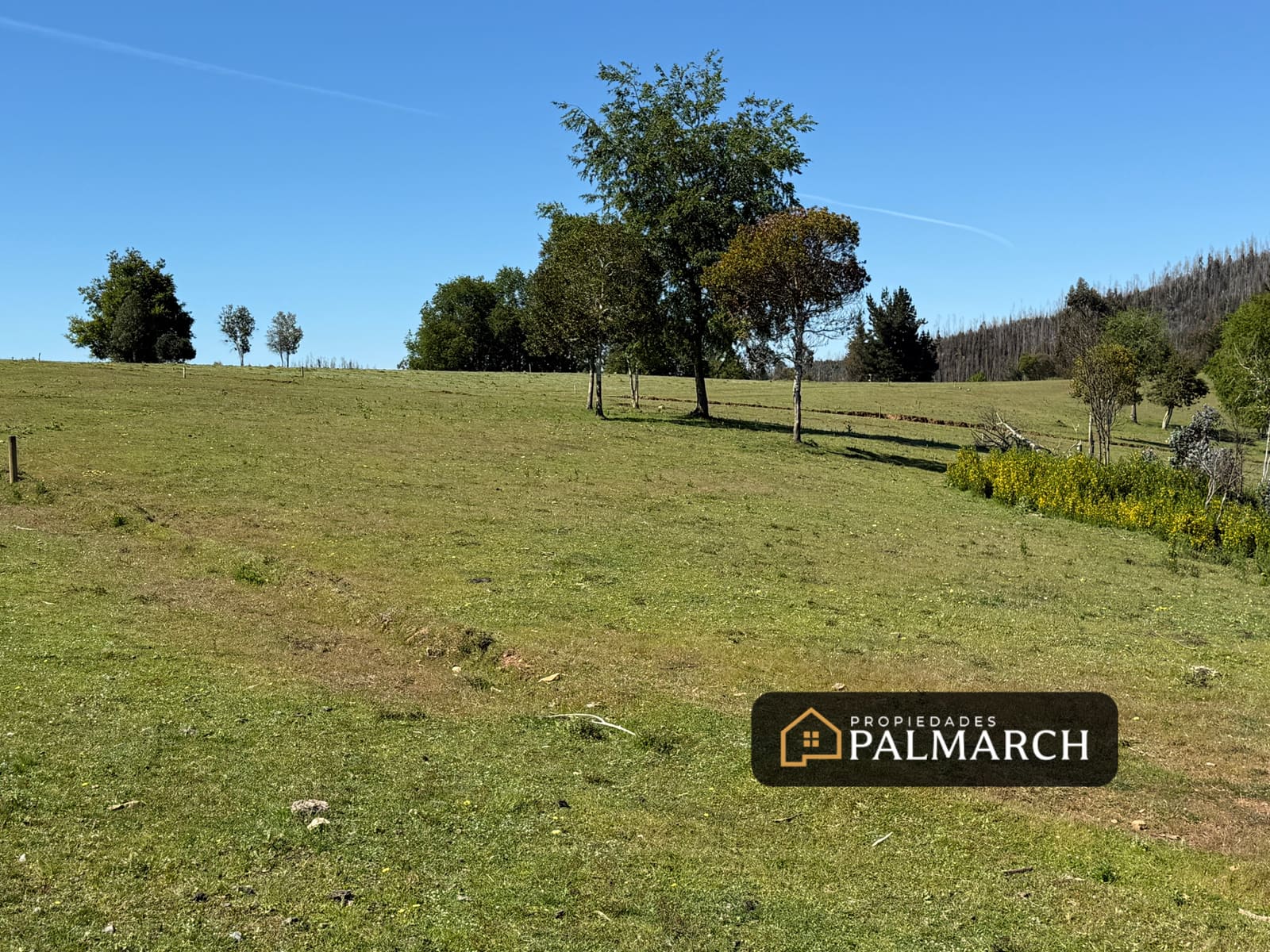 Parcela en venta en Penco — foto 8