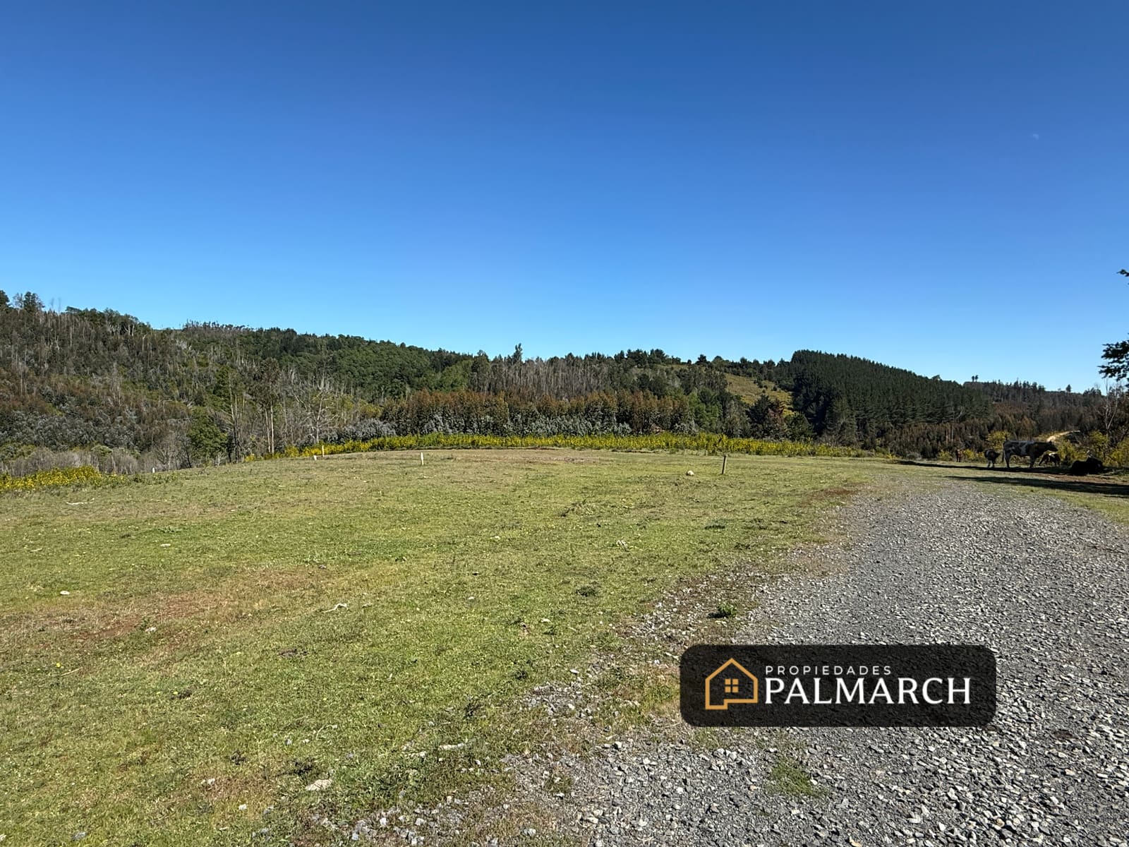Parcela en venta en Penco — foto 10