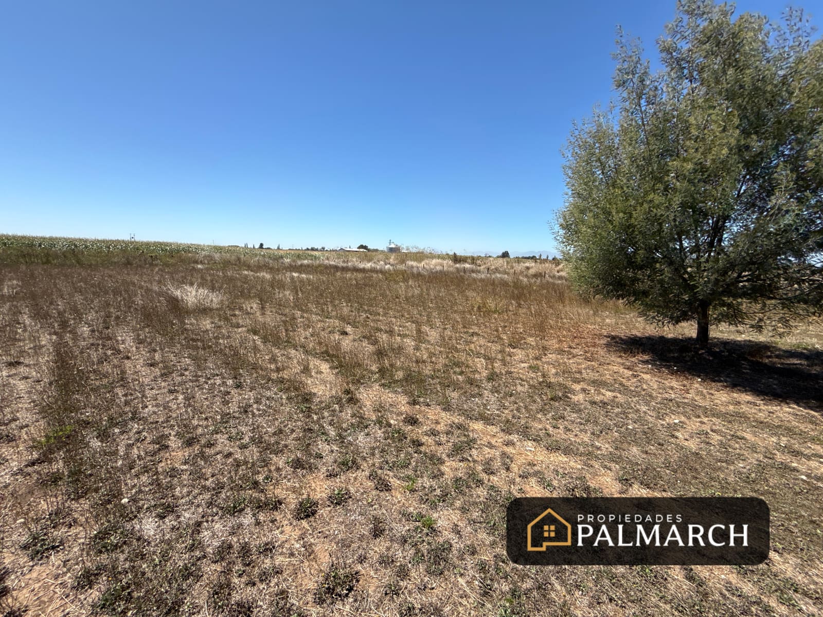 Parcela en venta en Chillán — foto 3