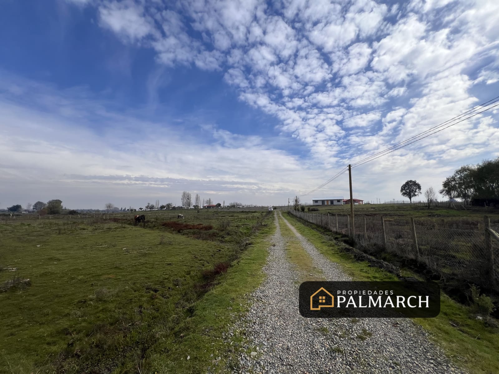 Parcela en venta en Parral — foto 7
