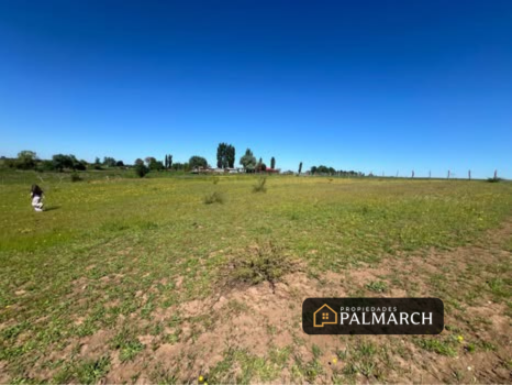 Parcela en venta en Parral — foto 10