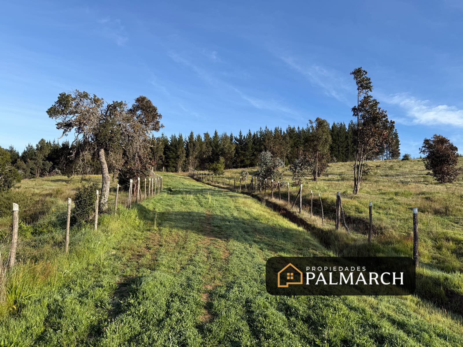 Parcela en venta en Ninhue — foto 1