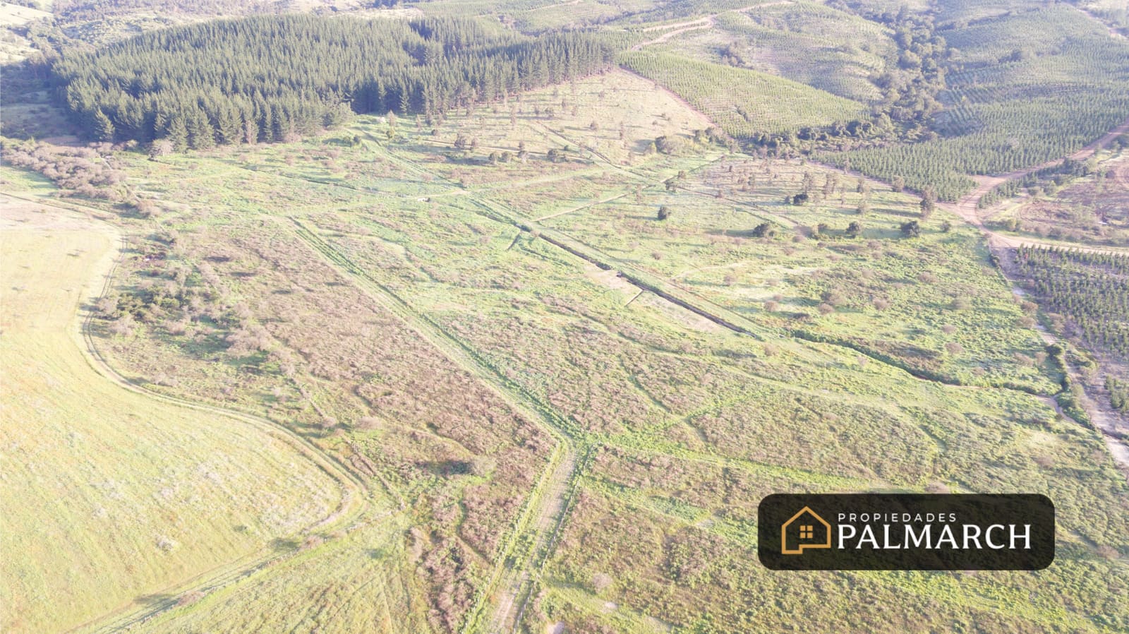 Parcela en venta en Ninhue — foto 2