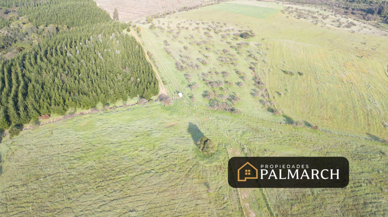 Parcela en venta en Ninhue — foto 4