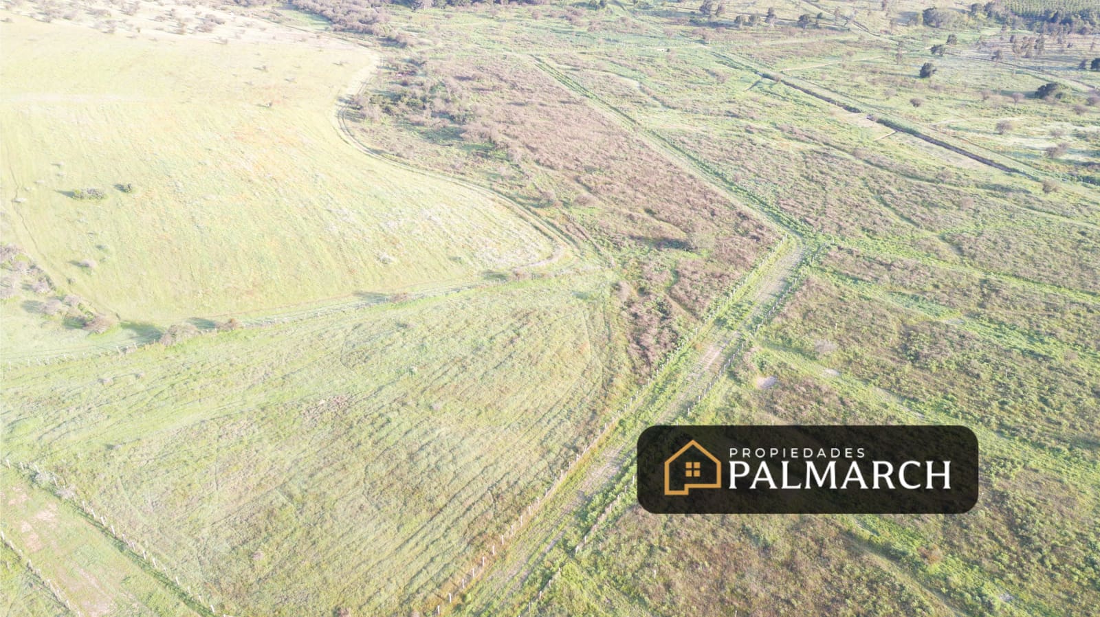 Parcela en venta en Ninhue — foto 5