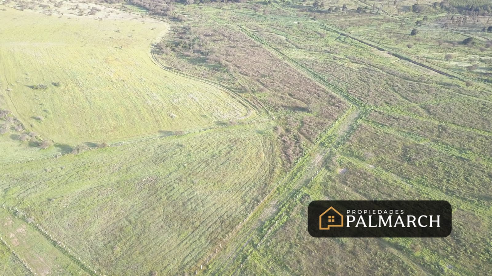 Parcela en venta en Ninhue — foto 6