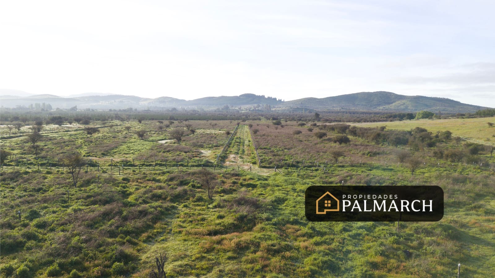 Parcela en venta en Ninhue — foto 7