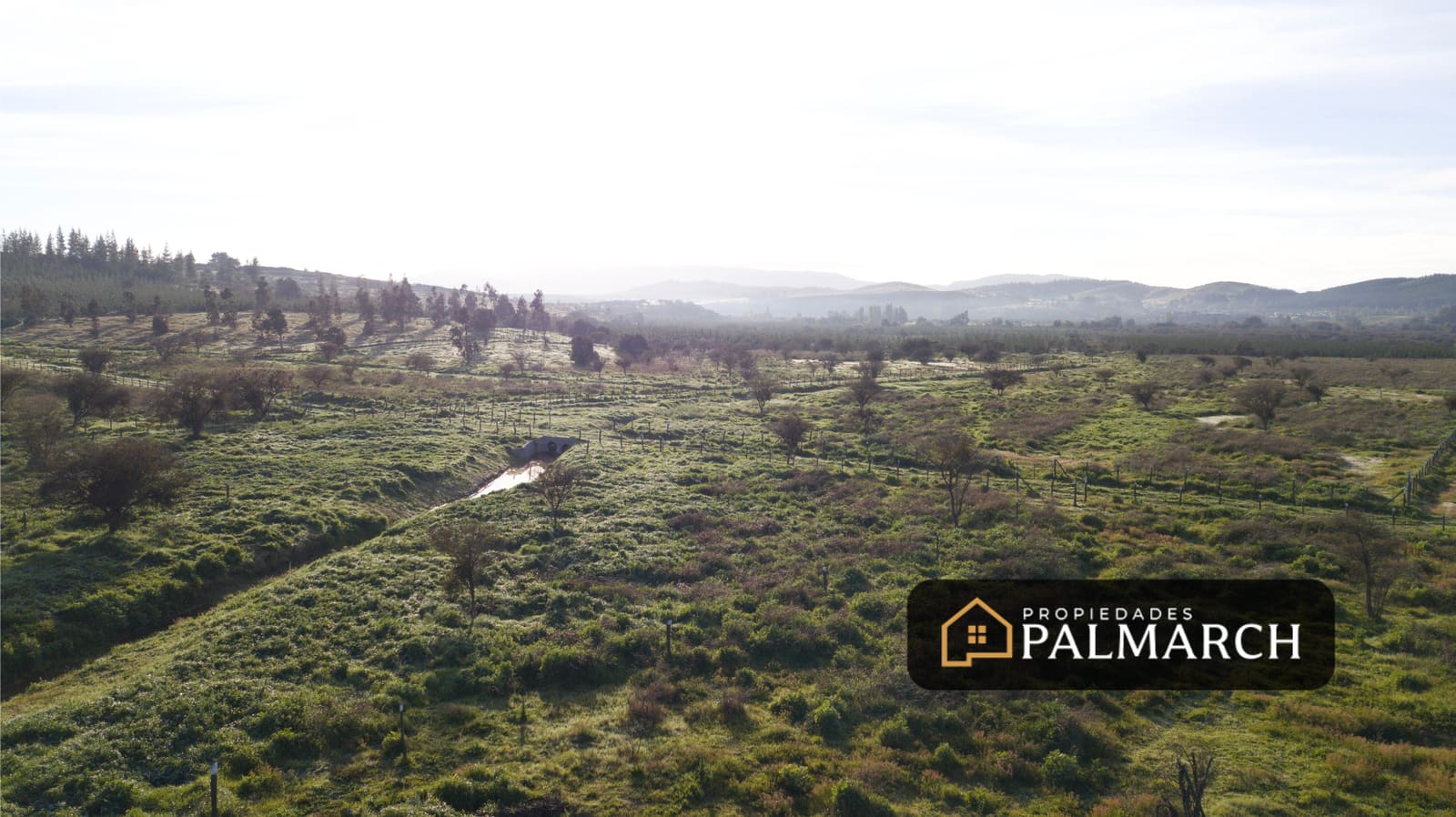 Parcela en venta en Ninhue — foto 8
