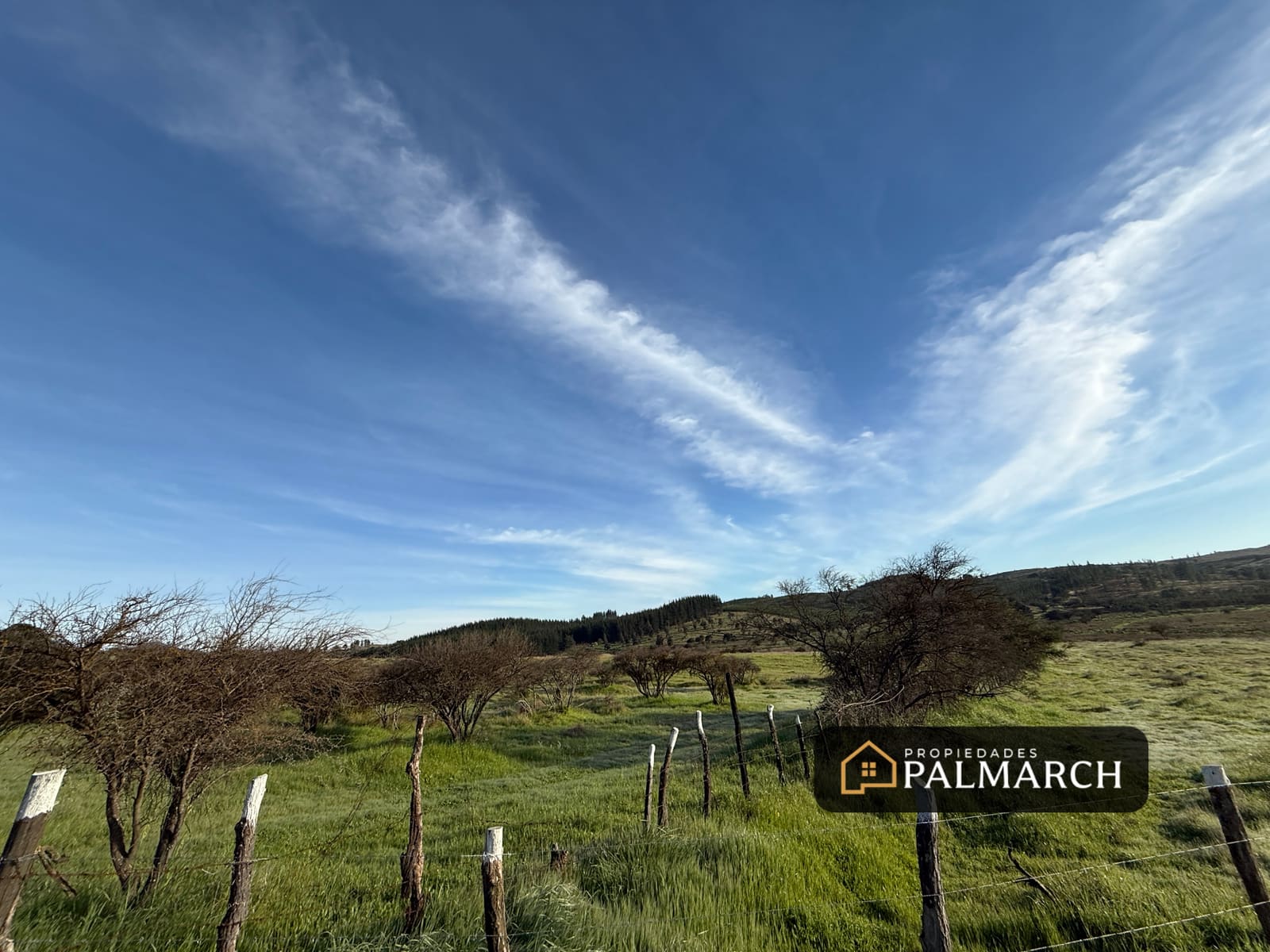 Parcela en venta en Ninhue — foto 9