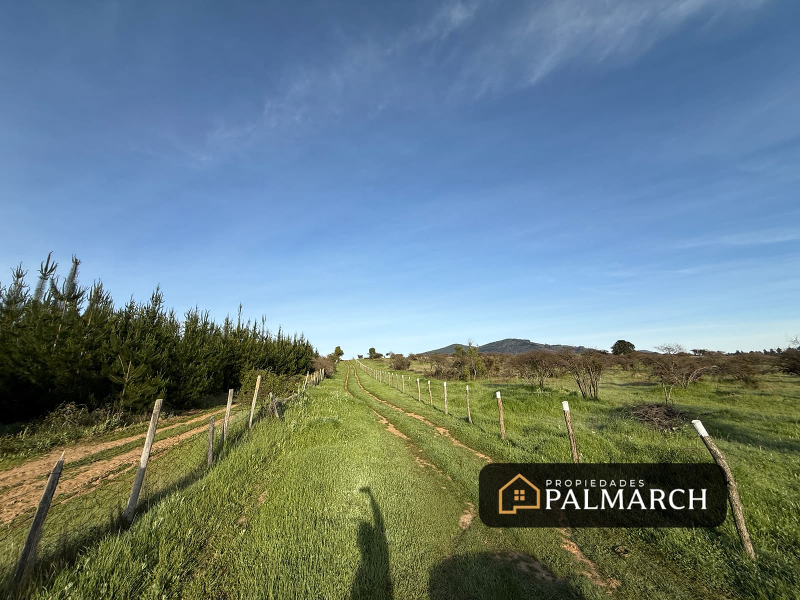 Parcela en venta en Ninhue — foto 10