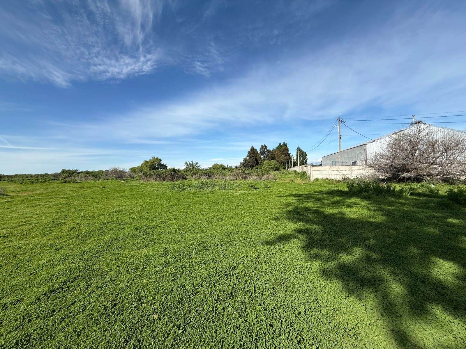 Terreno en venta en Chillán — foto 6