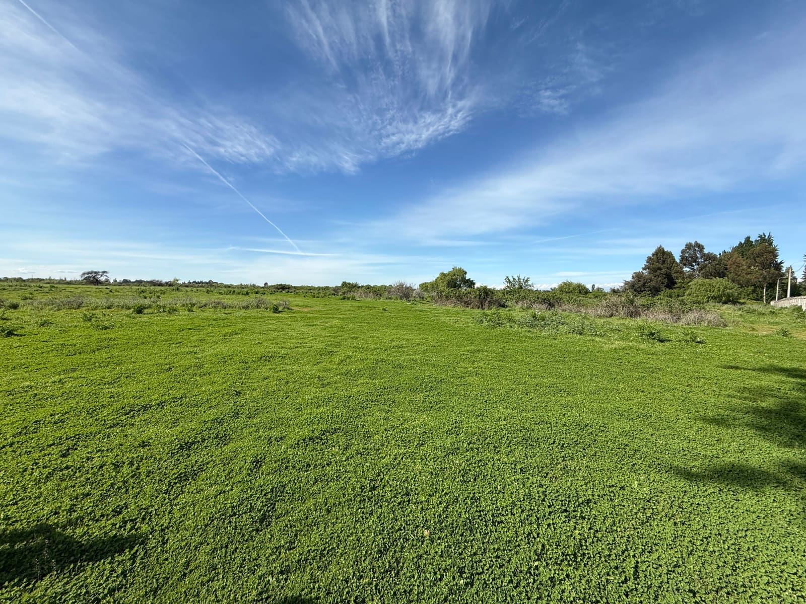 Terreno en venta en Chillán — foto 7