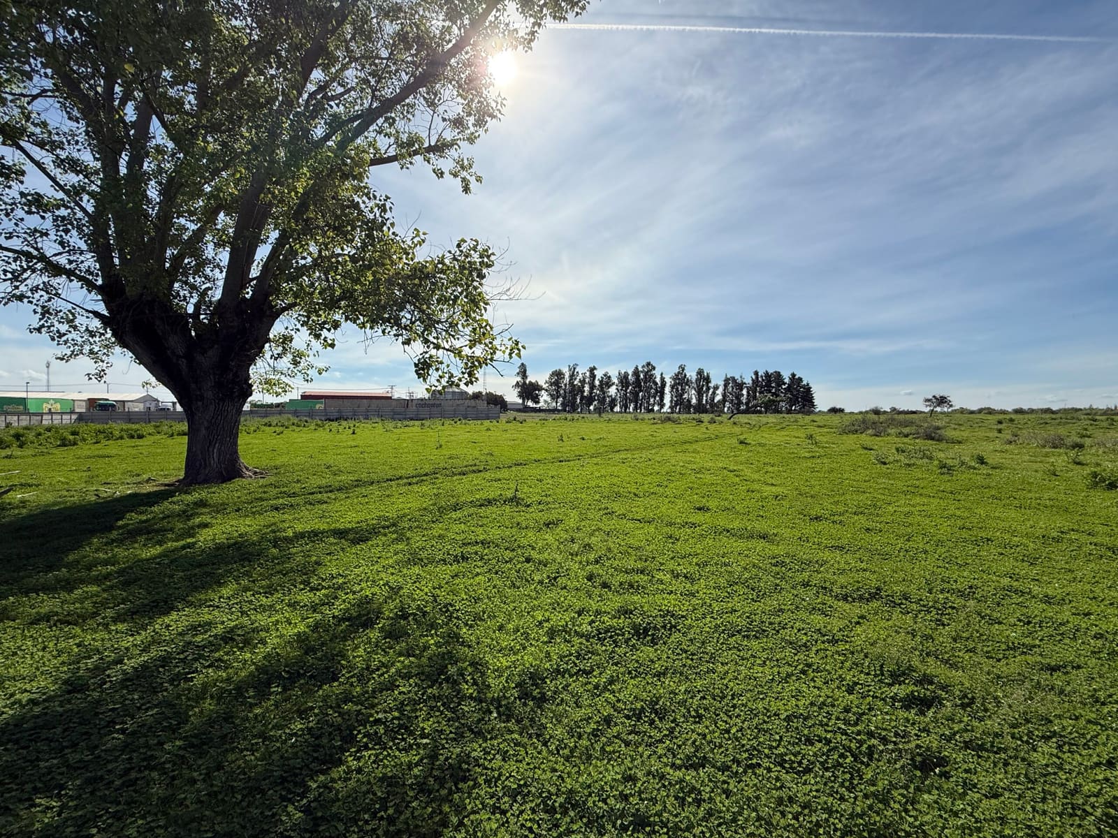 Terreno en venta en Chillán — foto 8