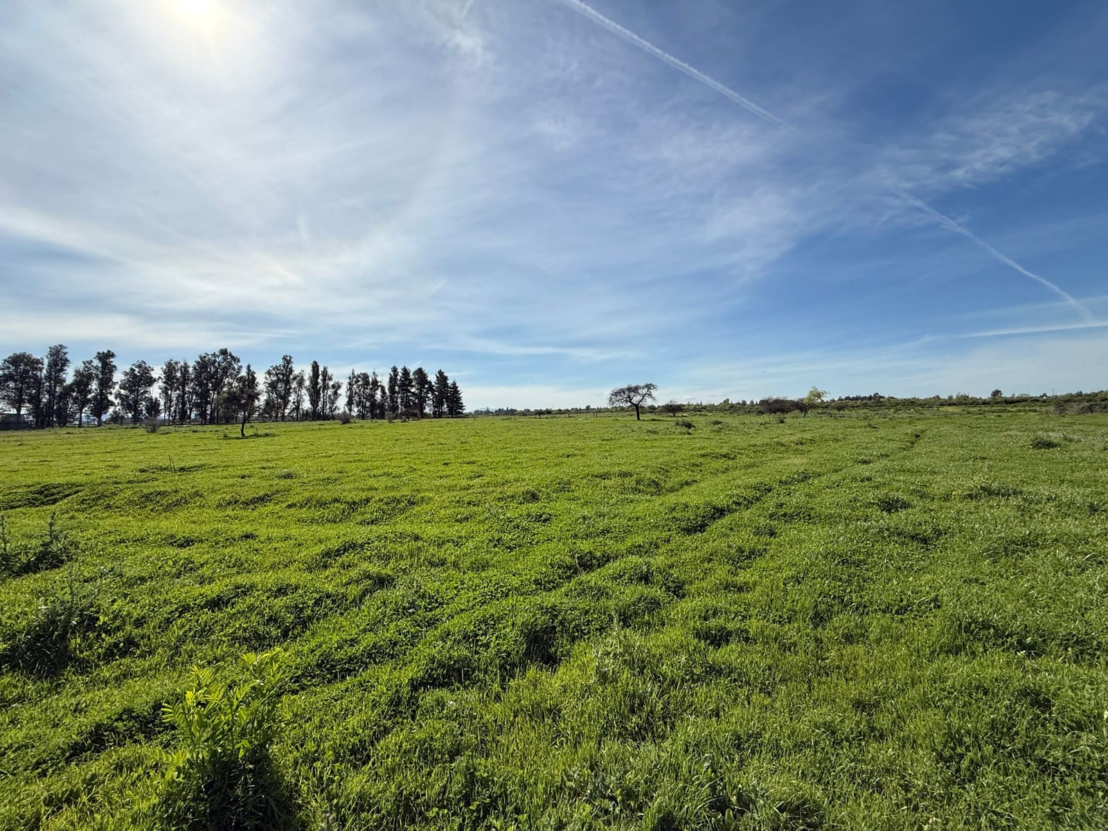 Terreno en venta en Chillán — foto 10