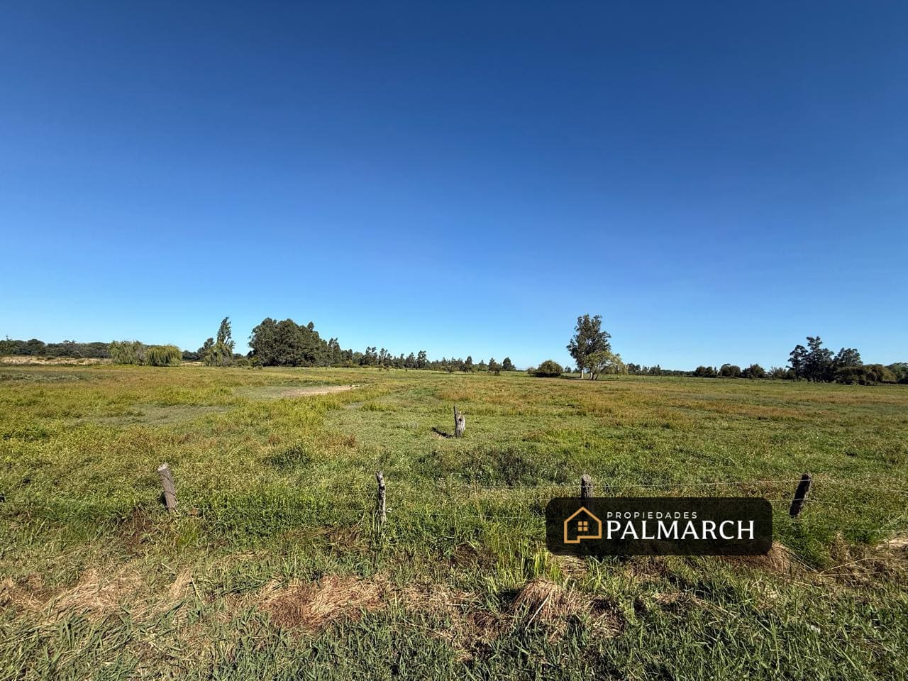 Terreno en venta en Chillán — foto 2