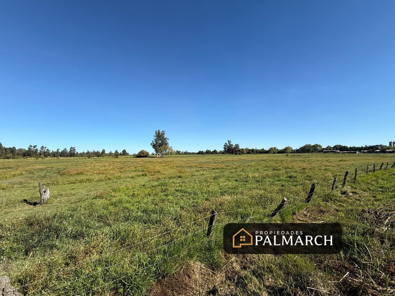 Terreno en venta en Chillán — foto 6