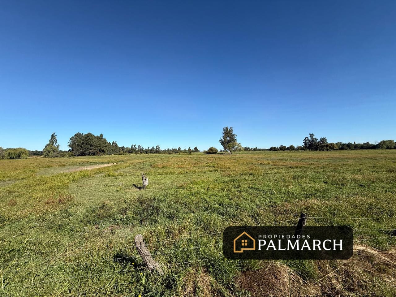 Terreno en venta en Chillán — foto 7