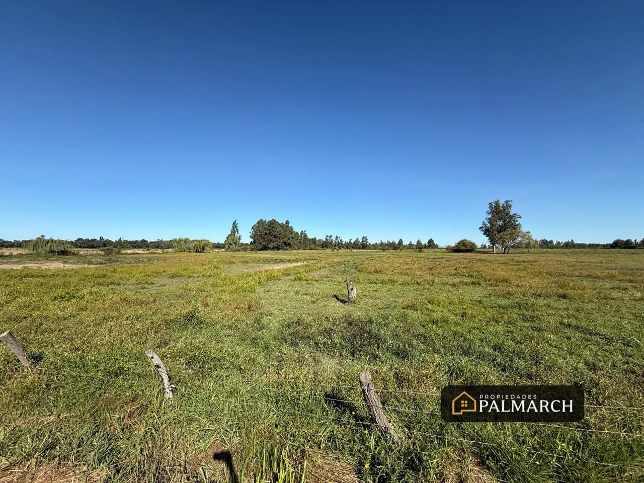 Terreno en venta en Chillán — foto 8