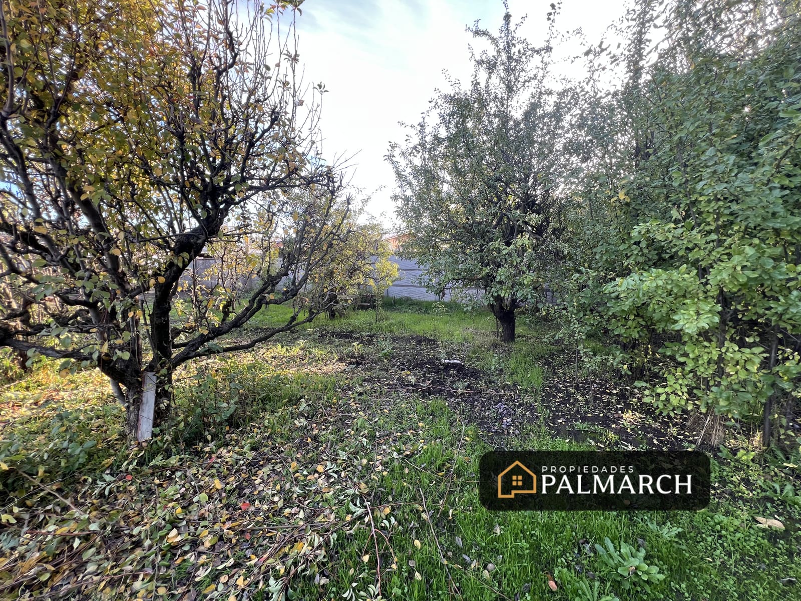 Terreno en venta en Chillán — foto 7