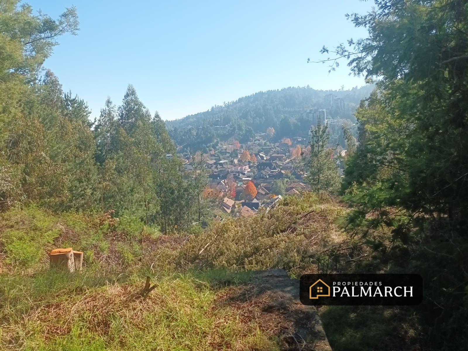 Terreno en venta en Concepción — foto 2
