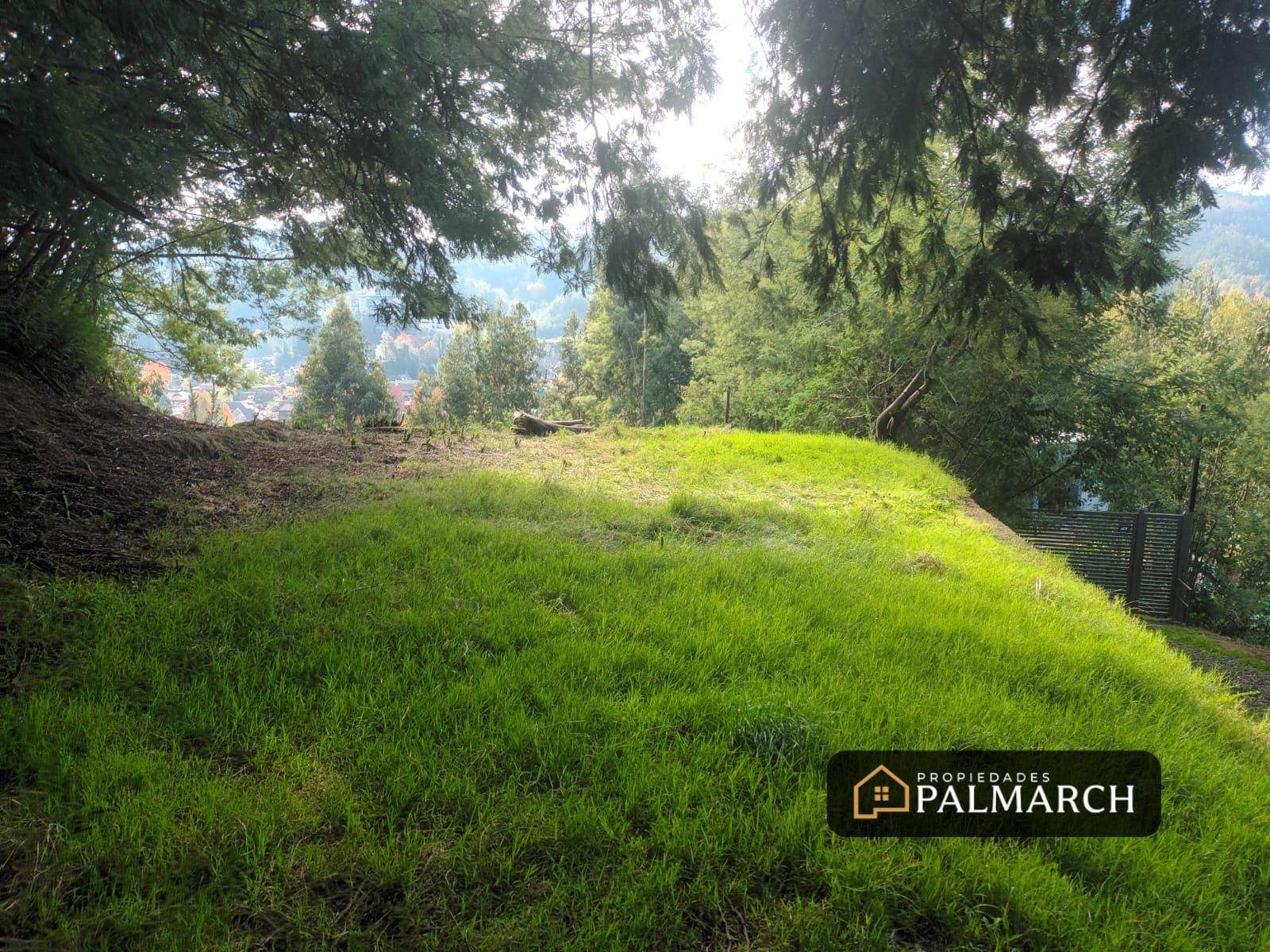 Terreno en venta en Concepción — foto 8