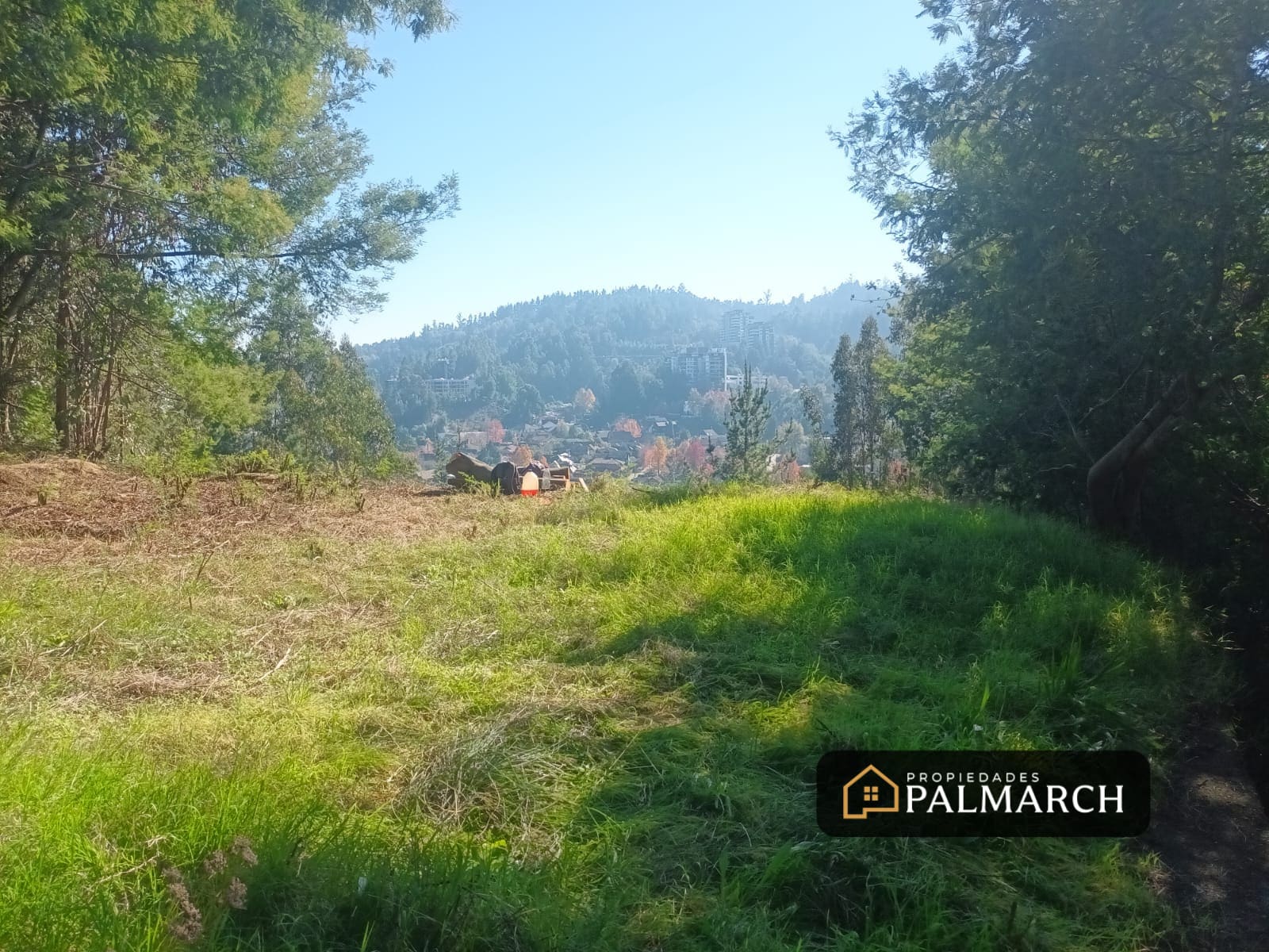 Terreno en venta en Concepción — foto 9