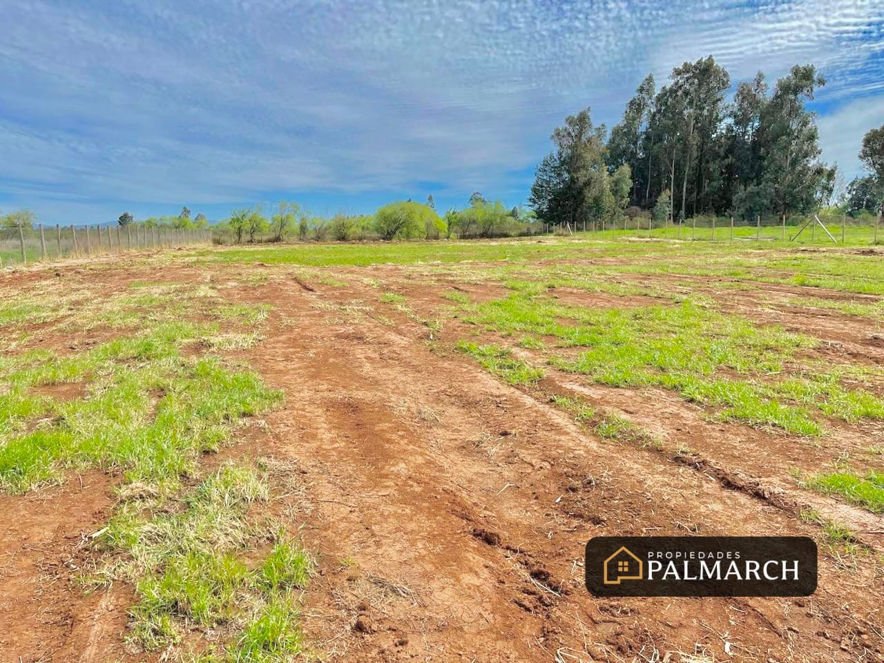 Parcela en venta en San Carlos — foto 7