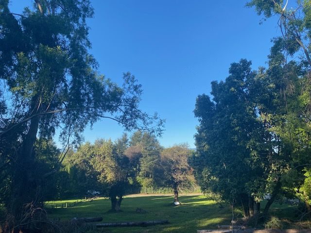 Parcela en venta en Pucón — foto 4