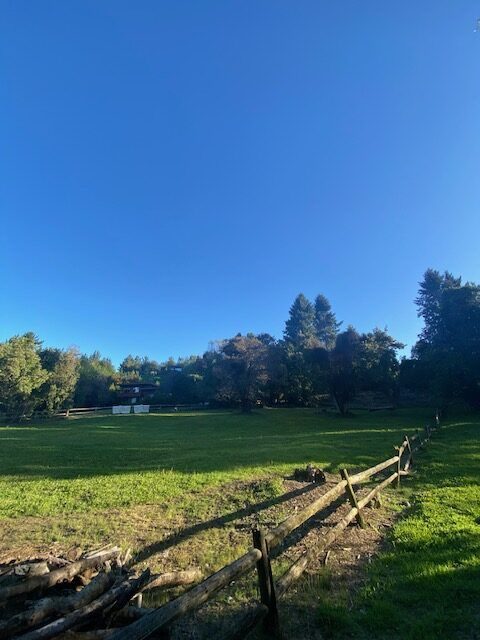 Parcela en venta en Pucón — foto 5