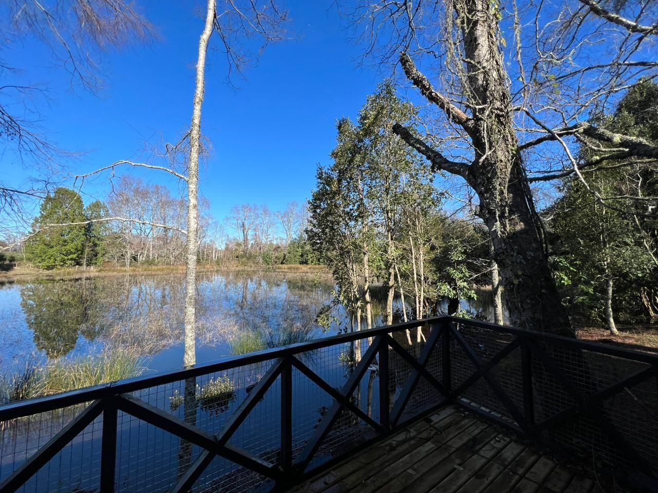Parcela en venta en Villarrica — foto 8