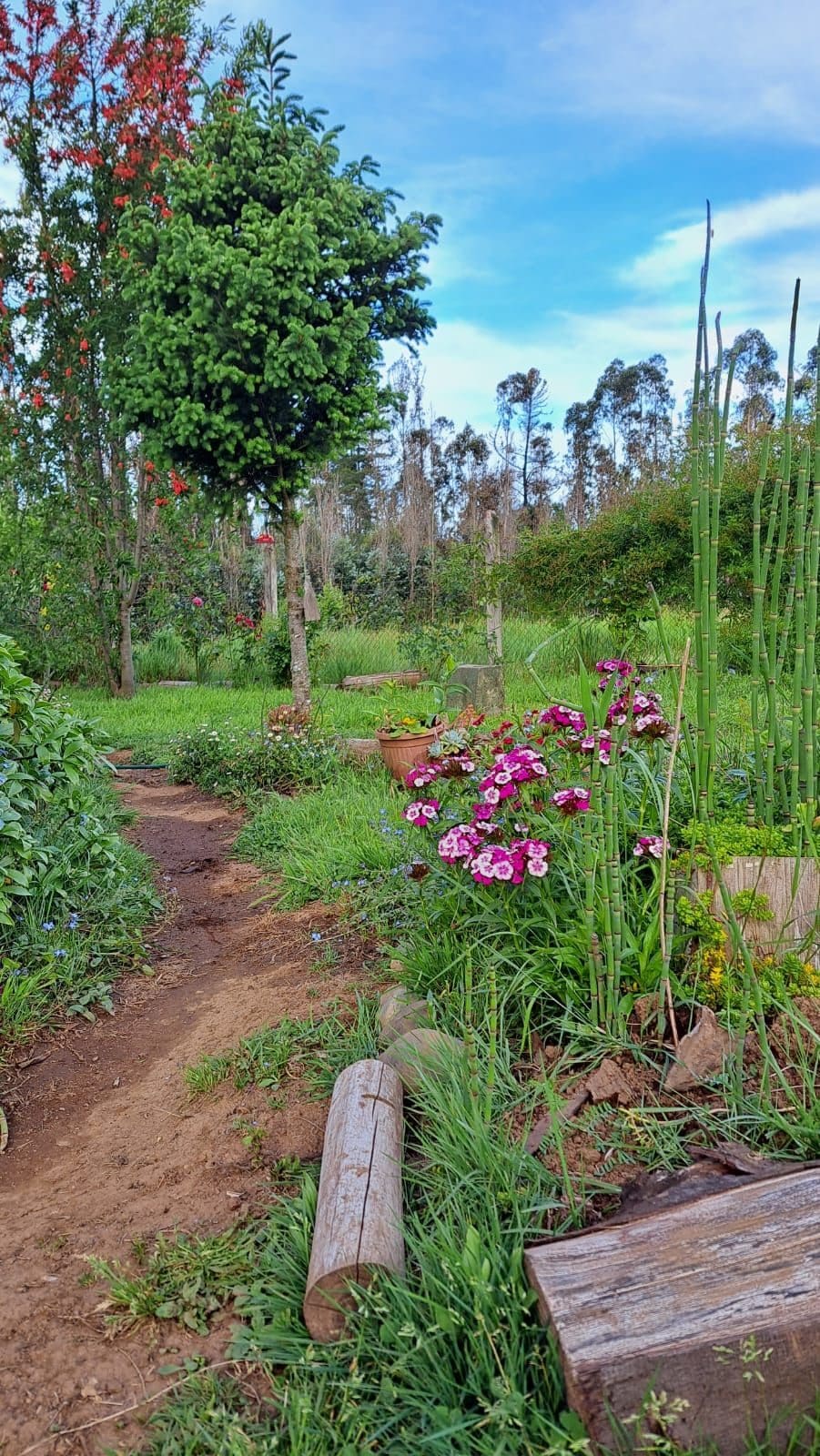 Parcela en venta en Gorbea — foto 3