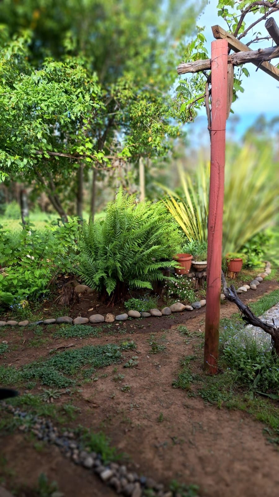 Parcela en venta en Gorbea — foto 4