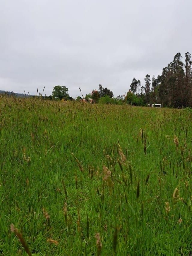 Parcela en venta en Gorbea — foto 5