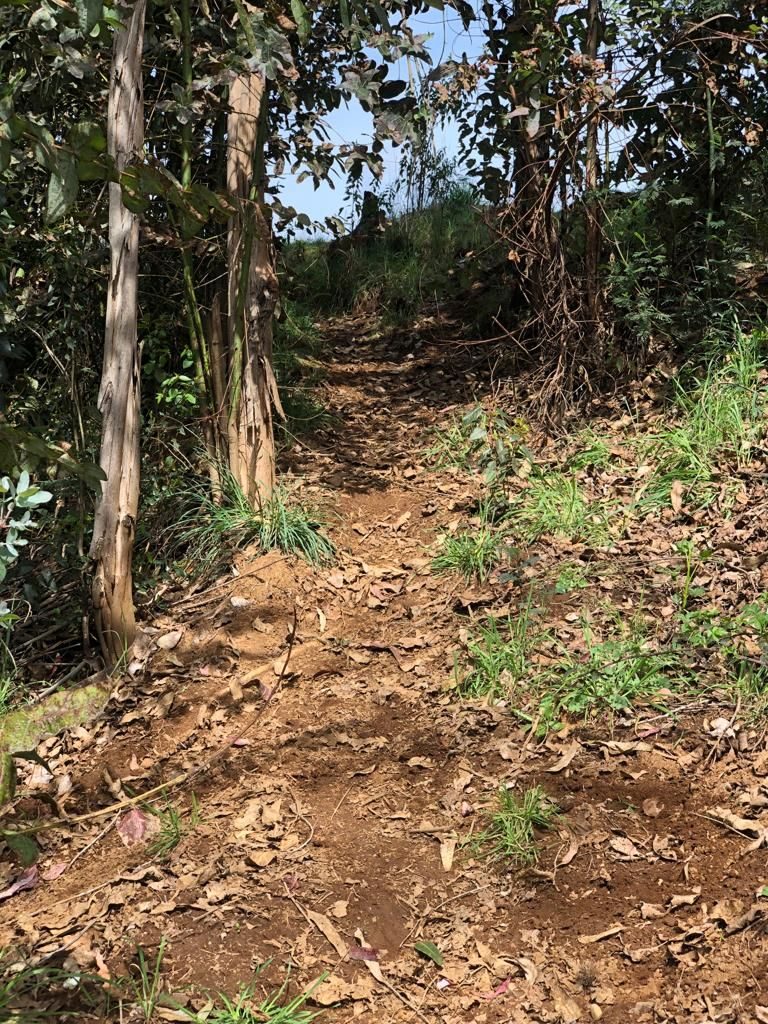 Parcela en venta en Gorbea — foto 6