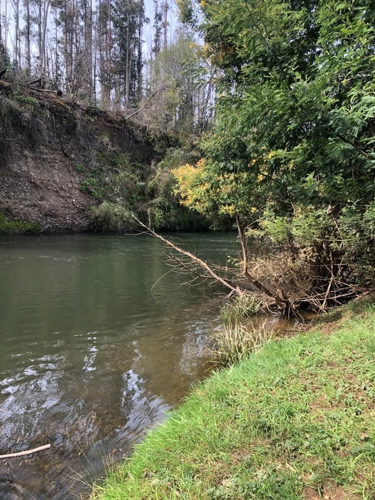 Parcela en venta en Gorbea — foto 9