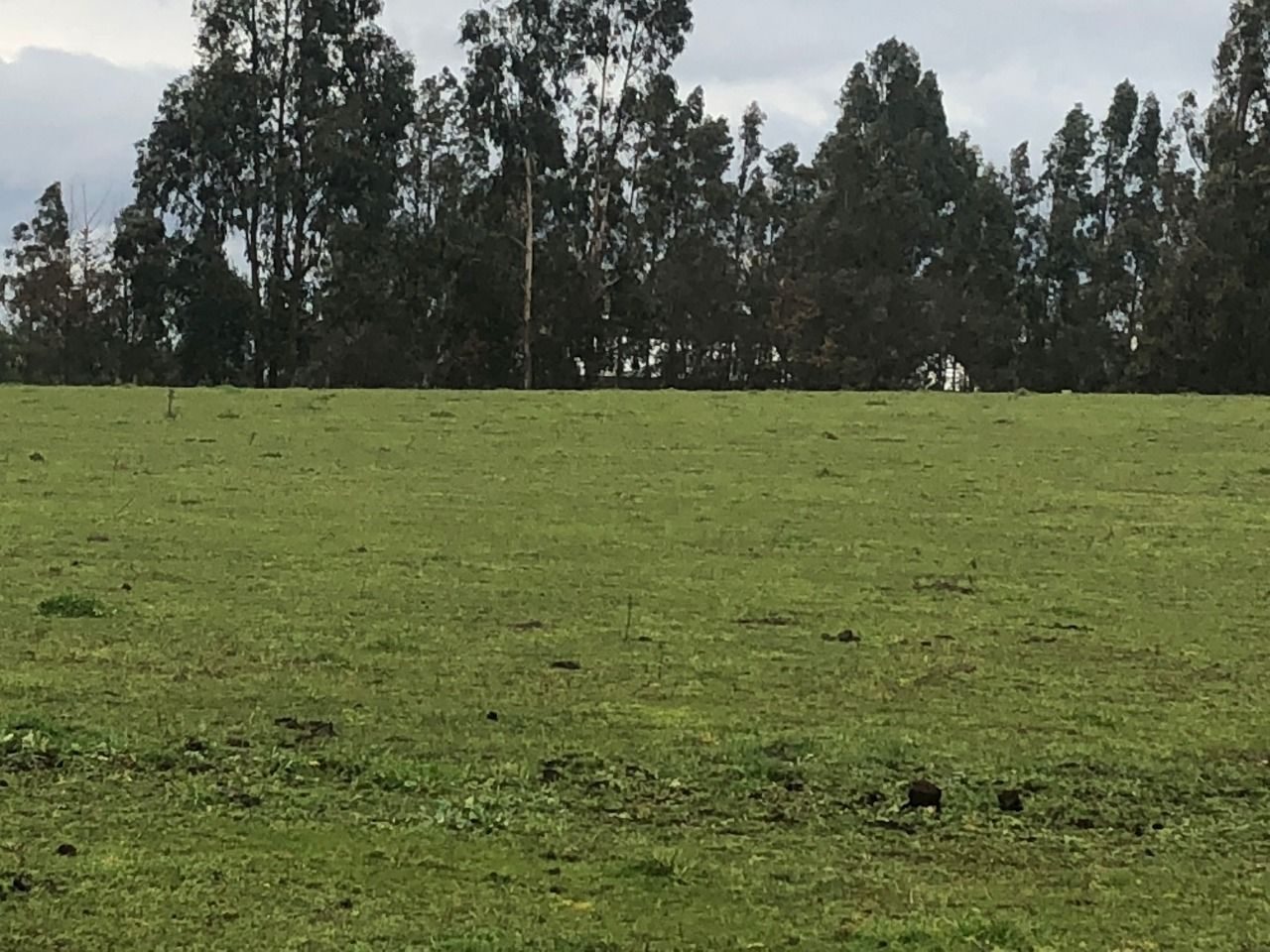Parcela en venta en Temuco — foto 4
