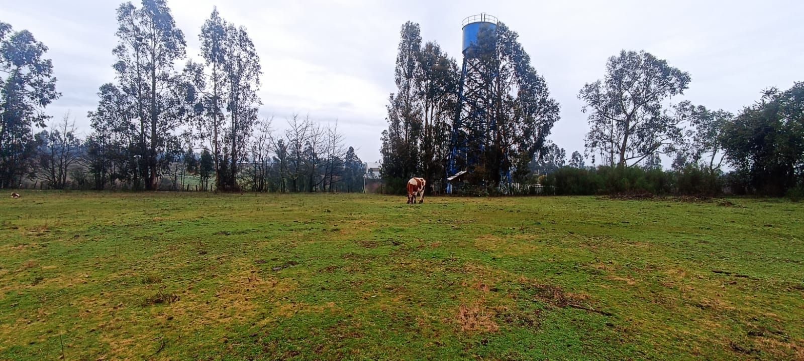 Parcela en venta en Temuco — foto 7