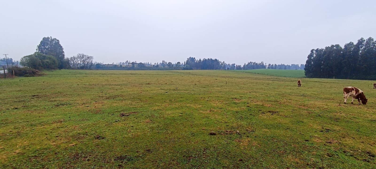 Parcela en venta en Temuco — foto 10