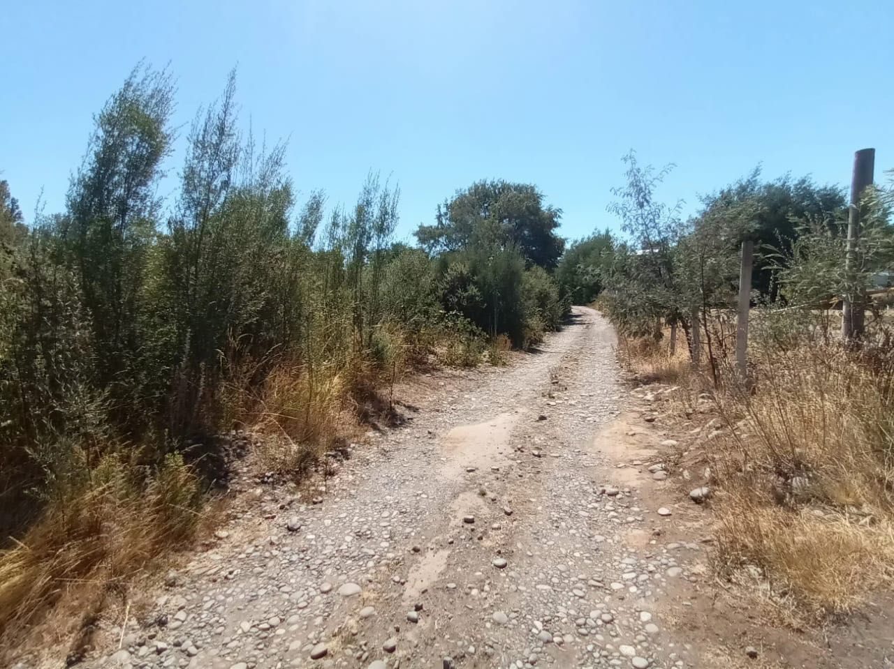 Parcela en venta en Lautaro — foto 2