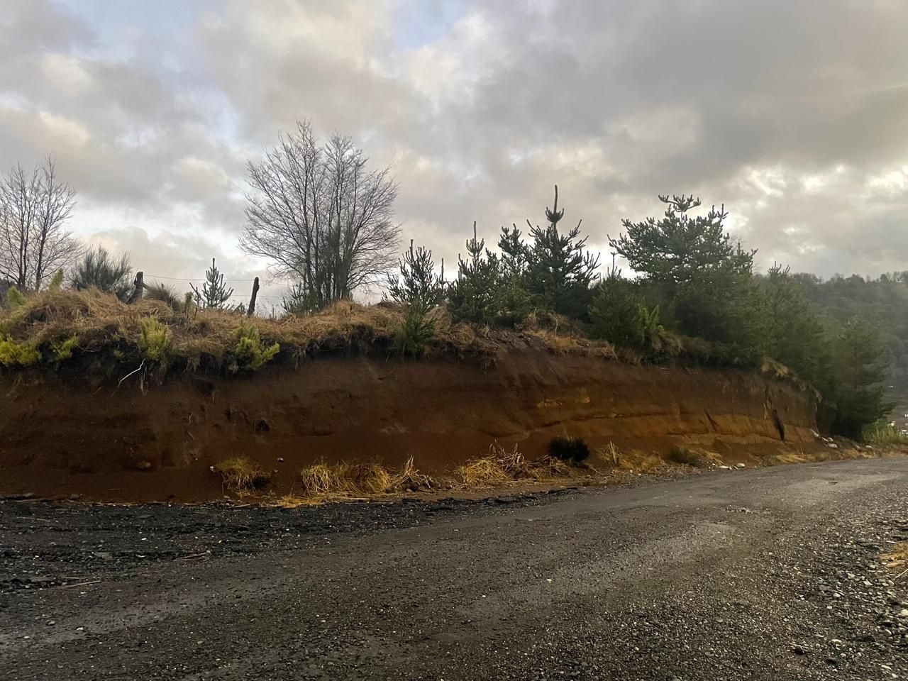 Parcela en venta en Curacautín — foto 4