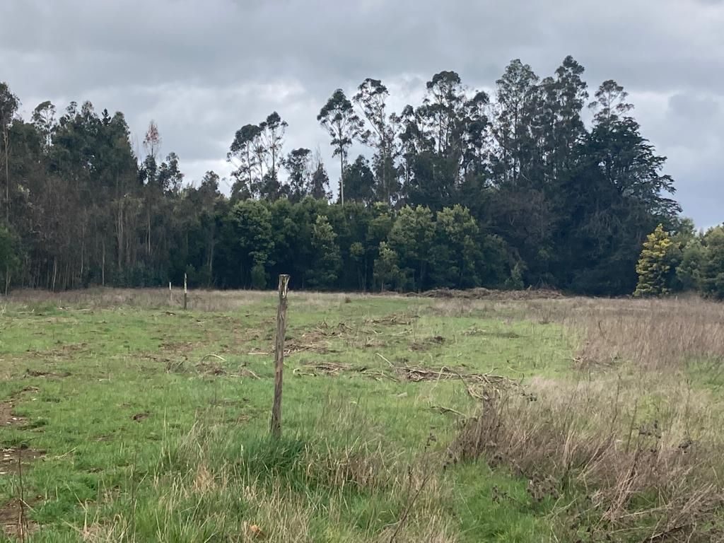 Parcela en venta en Freire — foto 5